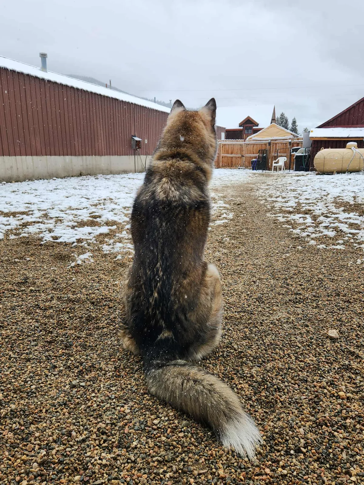 4aa0447ae395fa9f2b1ad0aa7888abaf