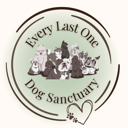 Every Last One Dog Sanctuary