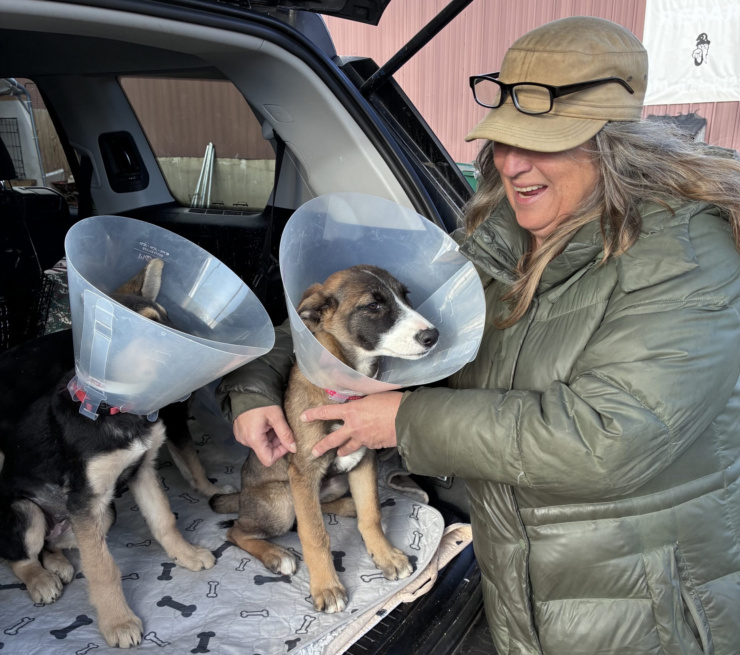 Forever Homes found!
