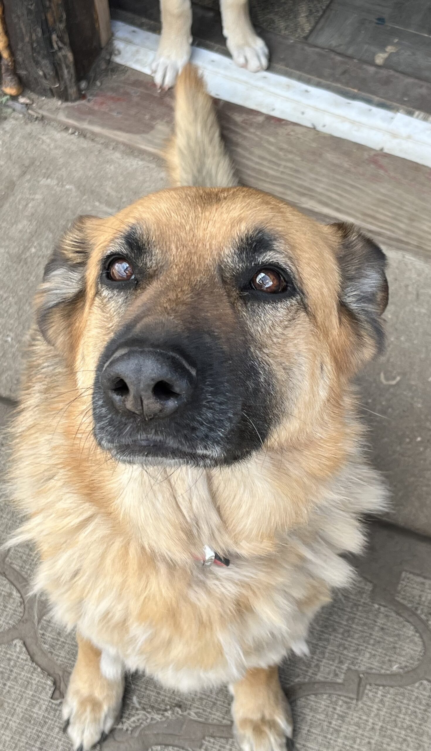 Roxy