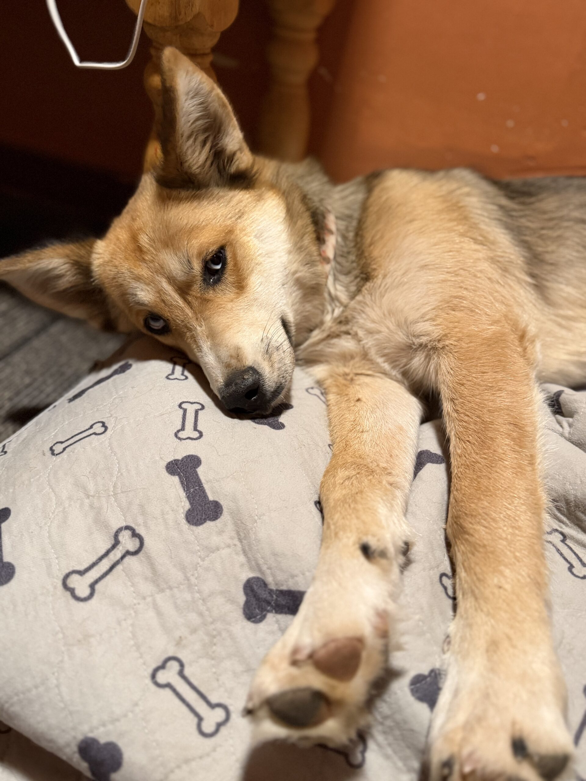 Skye
